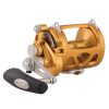 International VISW 2-Speed Wide Conventional Reel